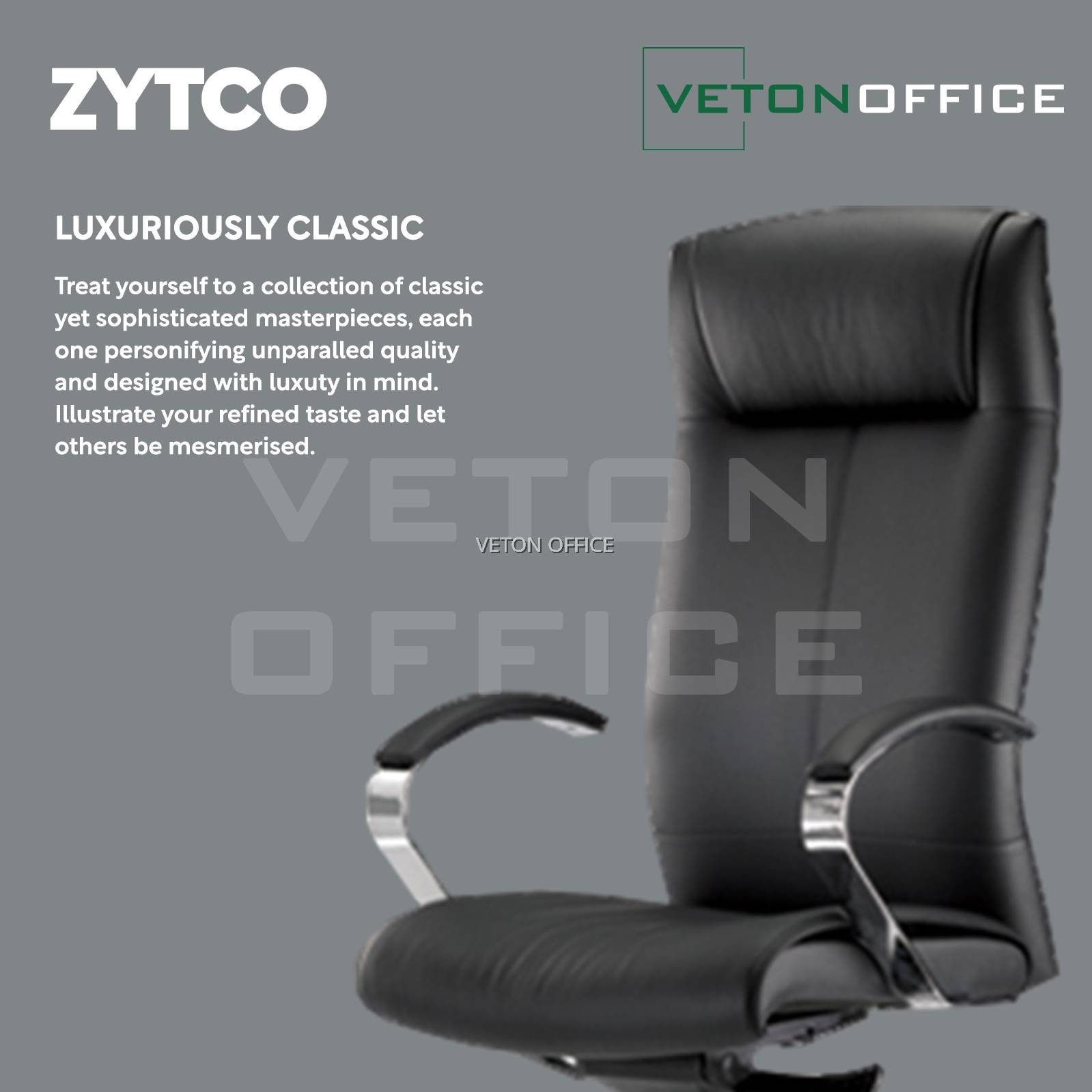 ZYTCO Director Chair Director Chair CEO Chair Manager Chair