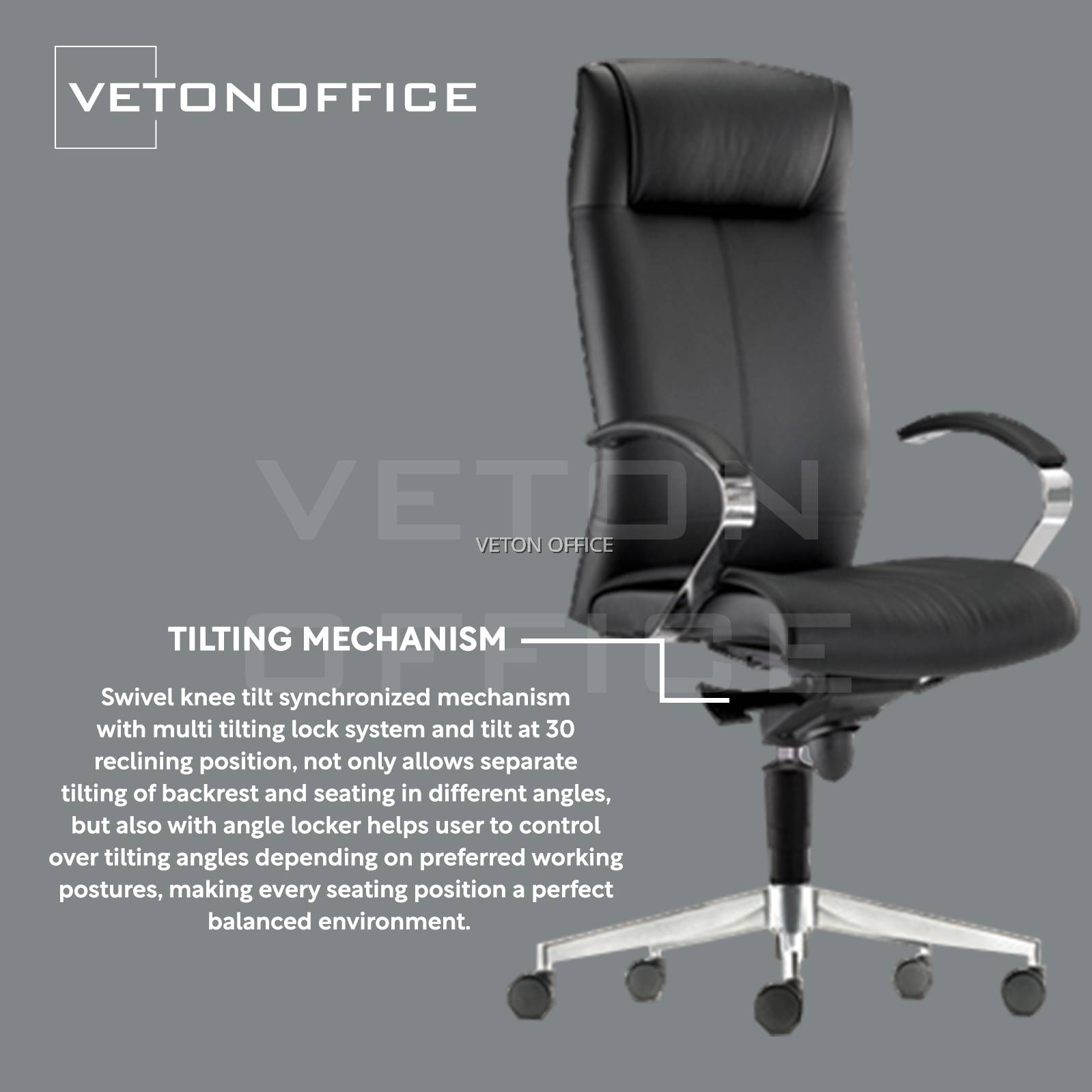 ZYTCO Director Chair Director Chair CEO Chair Manager Chair